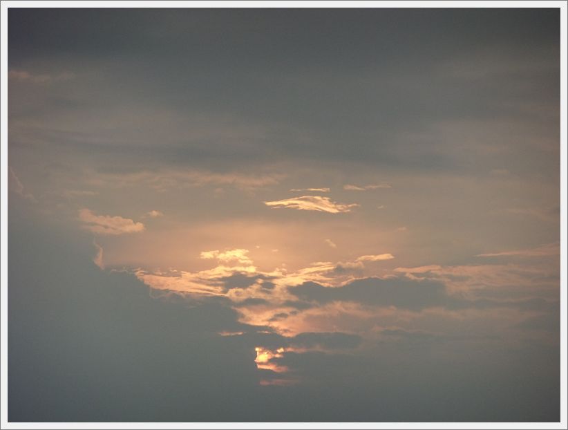 DSCF1842