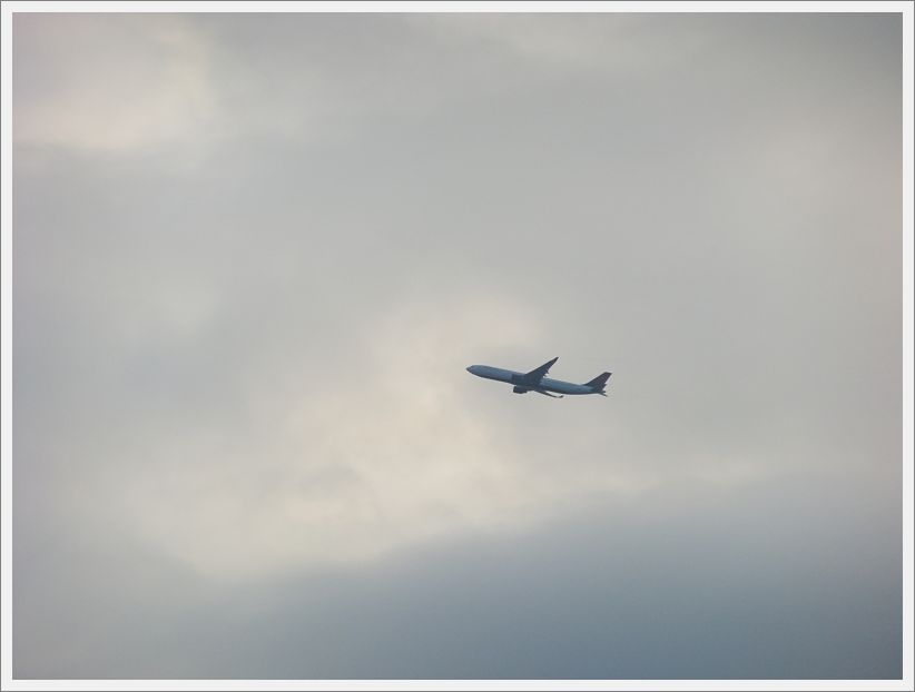 DSCF1844