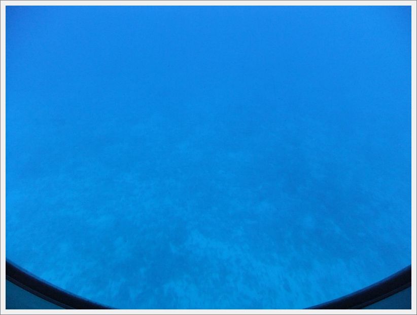DSCF2326