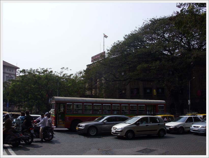 SDC11286
