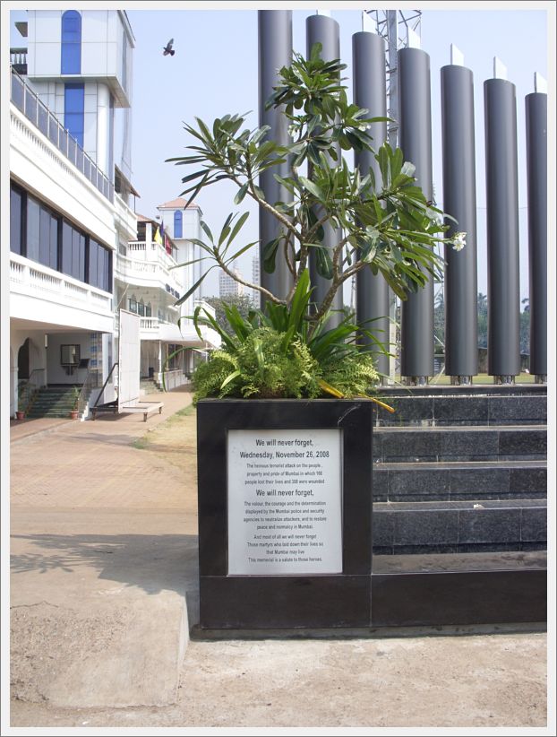SDC11313