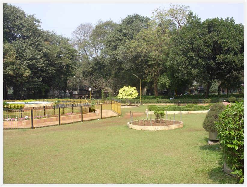 SDC11334