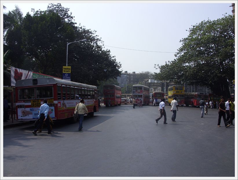 SDC11361