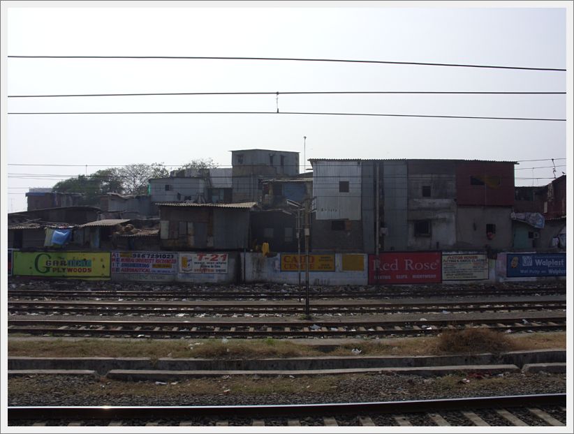 SDC11376