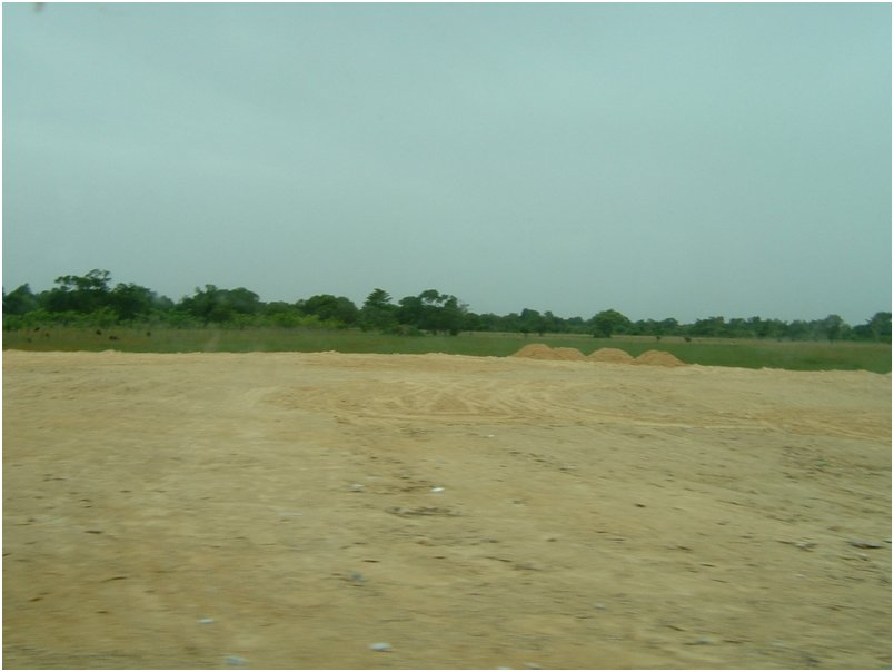 DSCF0082