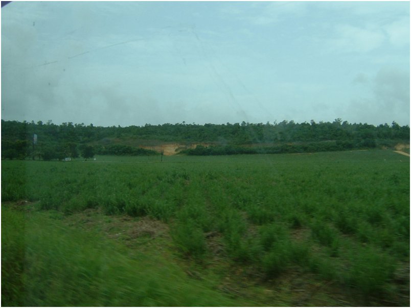 DSCF0083