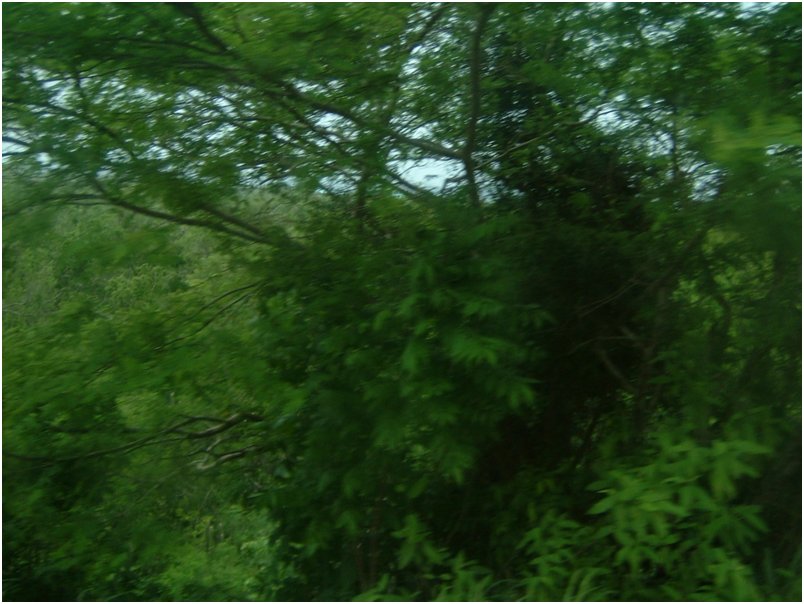 DSCF0084