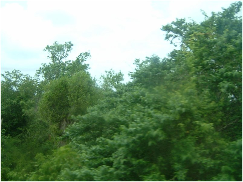 DSCF0085