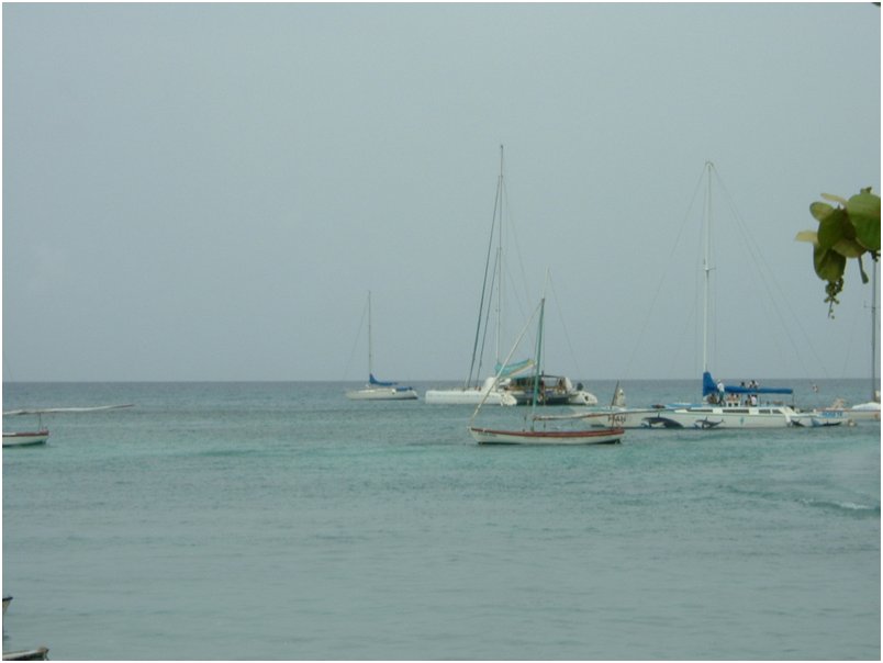 DSCF0087