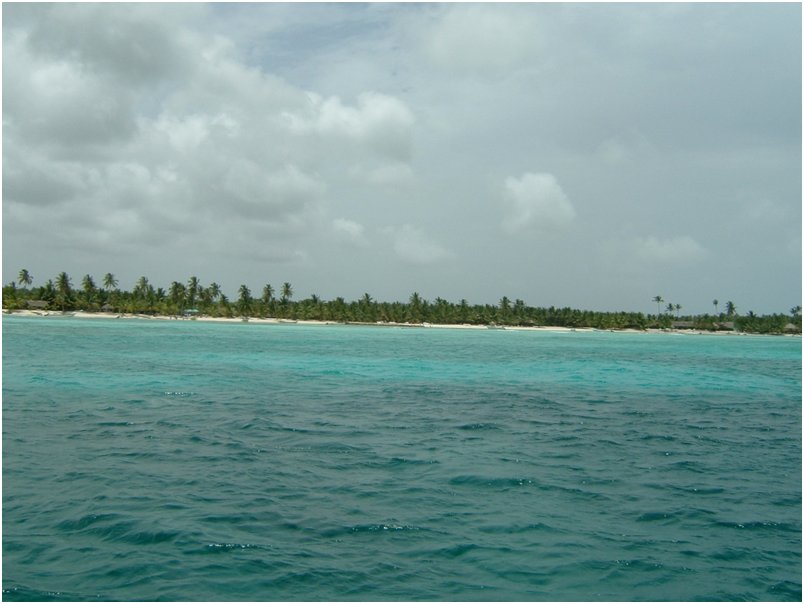 DSCF0097