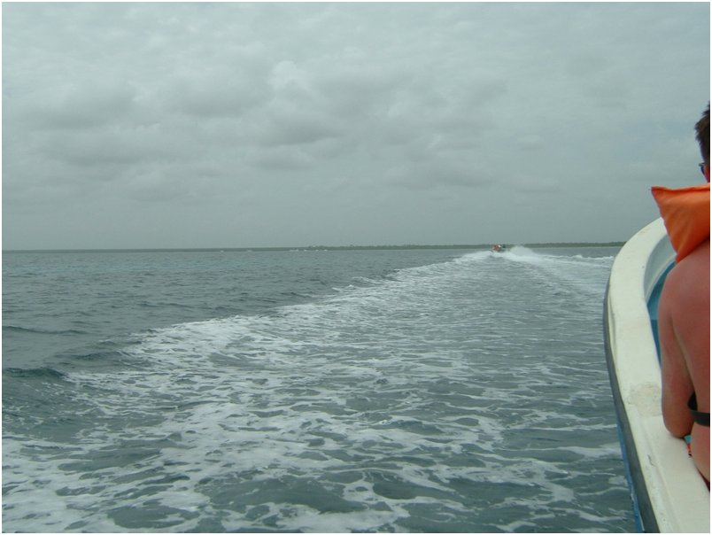 DSCF0107