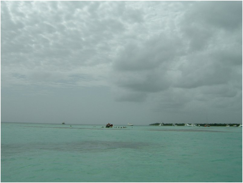 DSCF0108