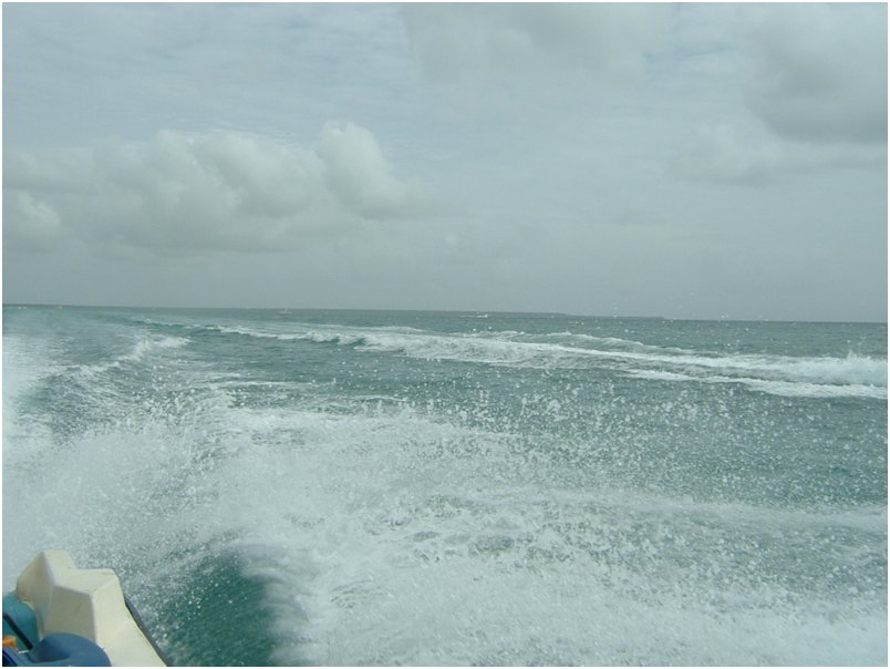DSCF0116