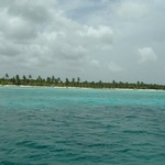 [Click to enlarge image]