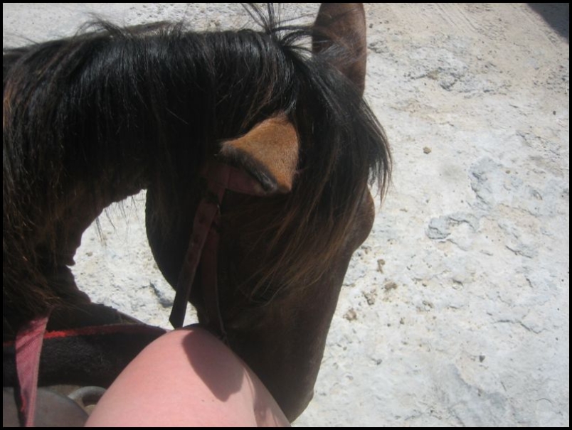 IMG_7767