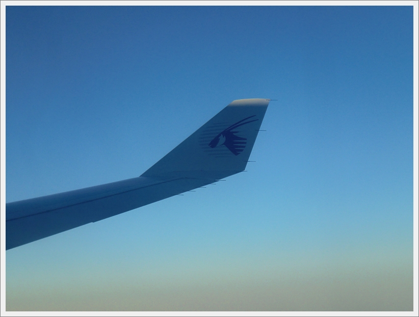 CIMG0219