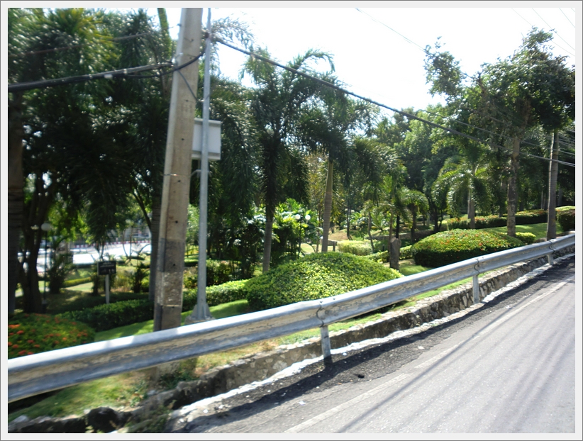 CIMG0412
