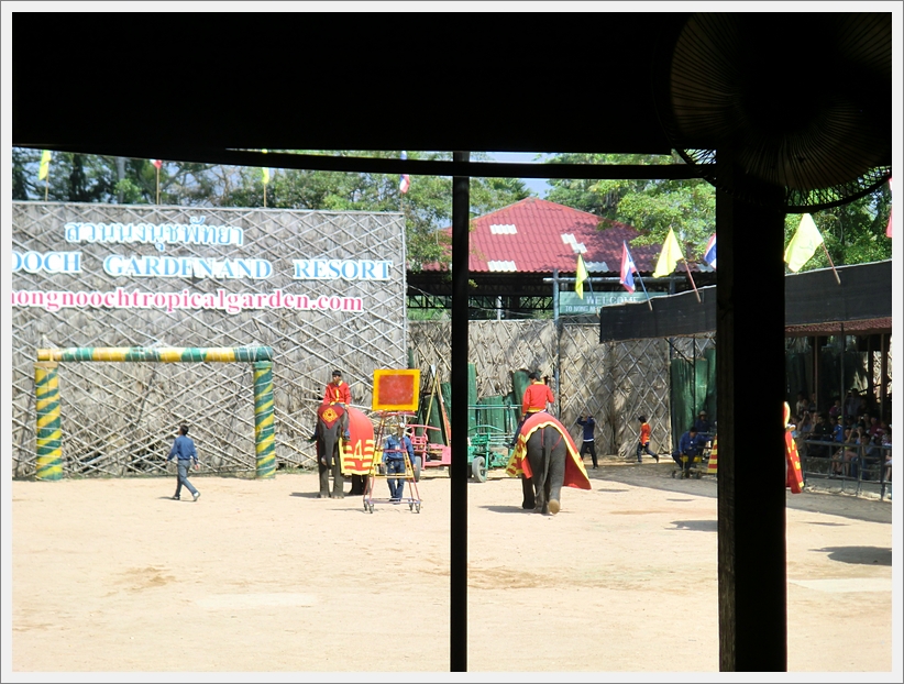 CIMG1128