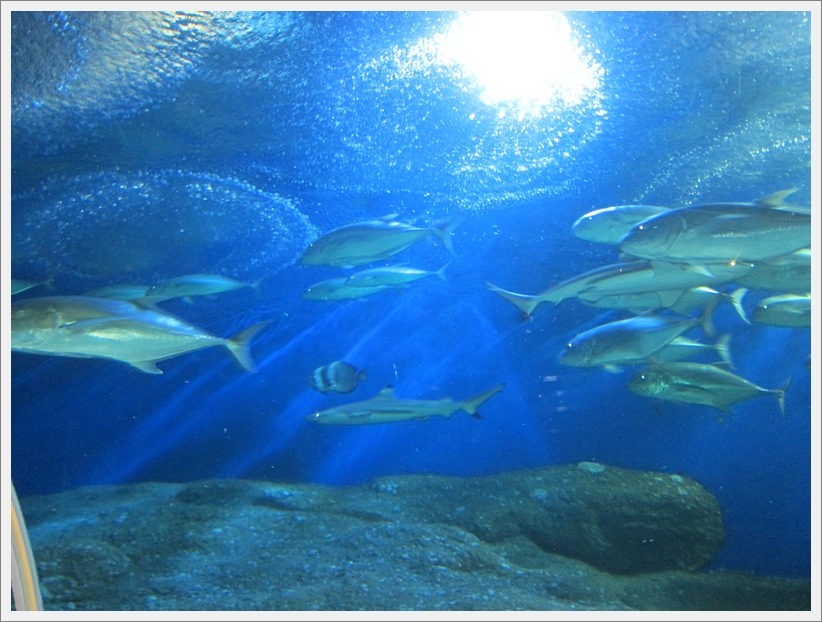 IMG_1123