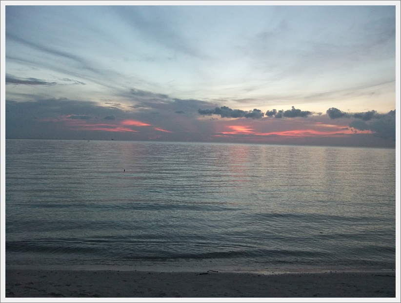 DSCF0662