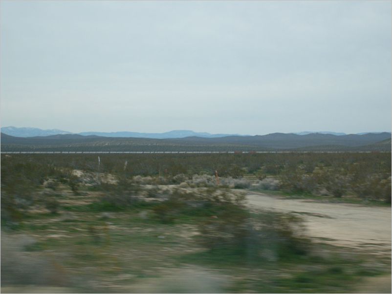 S7308311