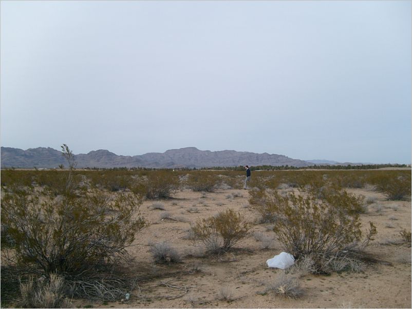 S7308331