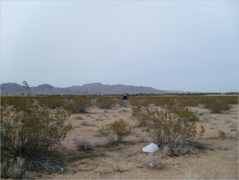 S7308332