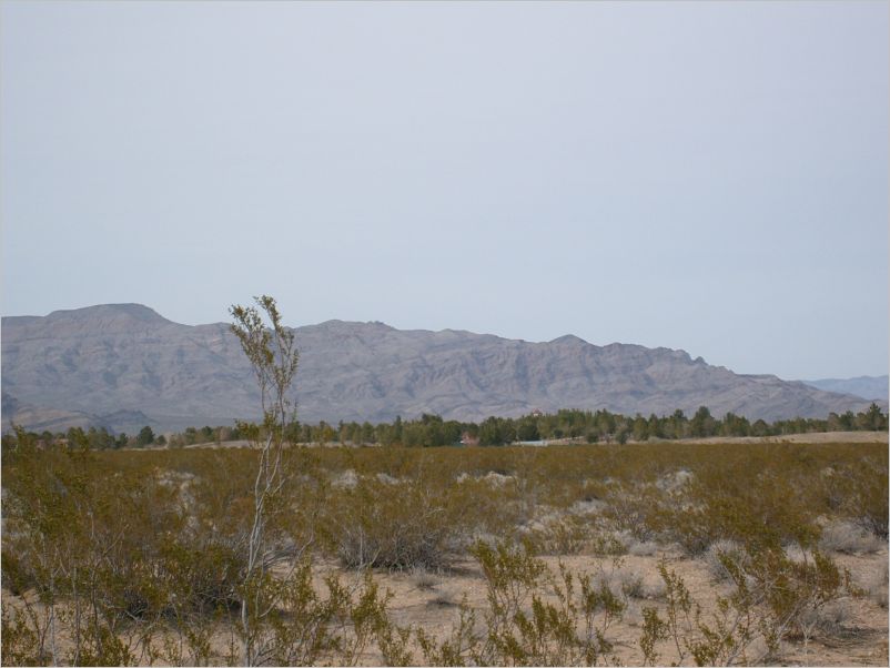 S7308337