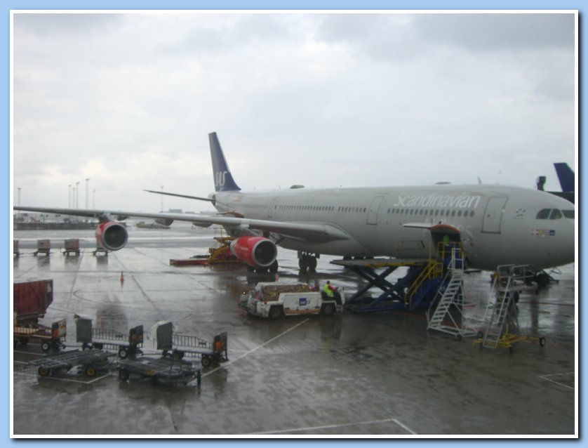 CIMG1441
