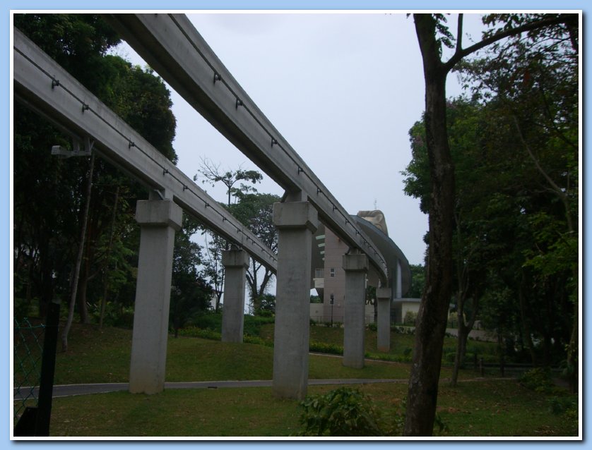 CIMG2006