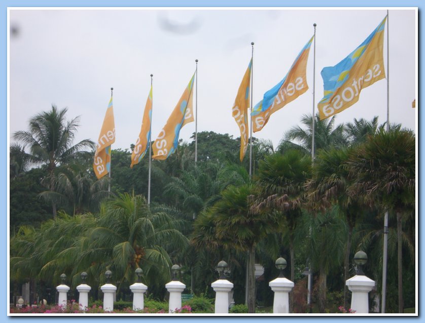 CIMG2013