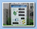 [Click to enlarge image]