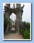 [Click to enlarge image]